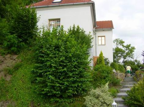 Bild 2 - 4 Zimmer Einfamilienhaus zum Kaufen in Slabce