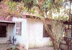 Bild 3 - 1 Zimmer Einfamilienhaus in Rüti