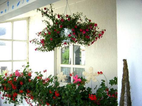 Bild 3 - 9 Zimmer Einfamilienhaus in PREMANTURA