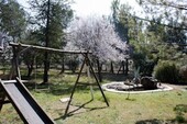 Bild 5 - 