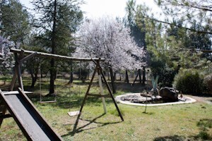Bild 5 - 