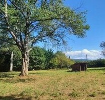 Bauland 2 Parzellen eingezäunt - 48.000,00 EUR Kaufpreis, ca.  1.670,00 m² in BALANOD (PLZ: 39160)