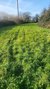 Bild 2 - Grundstück zum Kaufen in ST MARTIN D AUBIGNY