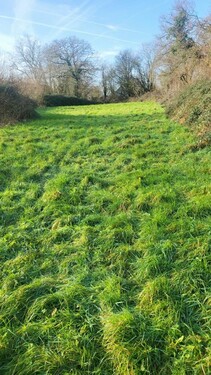 Bild 3 - Grundstück in ST MARTIN D AUBIGNY