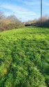 Bild 4 - Grundstück in ST MARTIN D AUBIGNY zum Kaufen