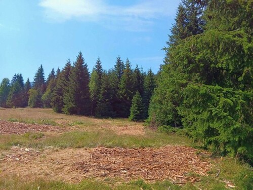 Bild 1 - Grundstück zur Entwicklung in den Bergen