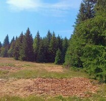 Grundstück zur Entwicklung in den Bergen - Chuprene