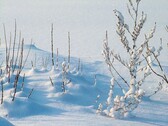Bild 1 - Landhaus in Wander-Angel und Skigegend