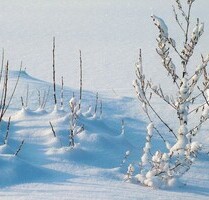 Landhaus in Wander-Angel und Skigegend - MARCHAL