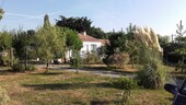 Bild 4 - Einfamilienhaus mit 160,00 m² in NANTES zum Kaufen