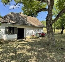 Im Komitat Zala 30m2 Ferienhaus mit 3406m2 Grund - Zalaszentgrót