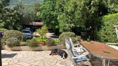 Bild 4 - Einfamilienhaus mit 150,00 m² in PEYMEINADE zum Kaufen