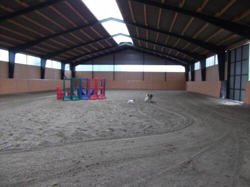 Bild 1 - Reiterhof - 1.350.000,00 EUR Kaufpreis, ca.  200,00 m² Wohnfläche