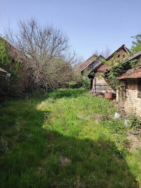 Bild 3 - 3 Zimmer Einfamilienhaus in Daruvar