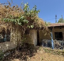 Haus mit großem Grundstück in Pialia Trikala Griechenland