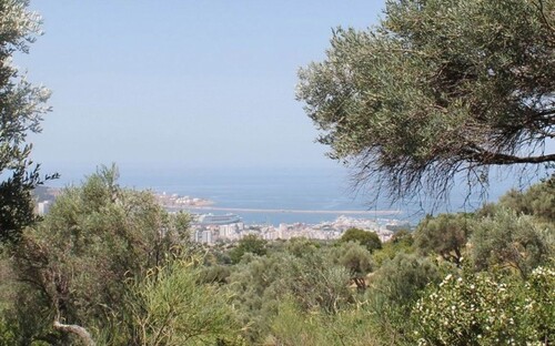 Bild 3 - Grundstück in BAR