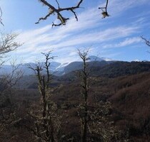Anden-Grundstück mit Blick auf den Sollipulli - Curarrehue/ Quililche