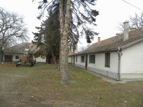Bild 1 - Im Bacs-kiskun Komitat ein 180m2 Bauernhaus mit 12ha Land