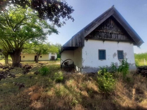 Bild 1 - Im Csongrad 200m2 zwei Bauernhaus mit 20ha Land