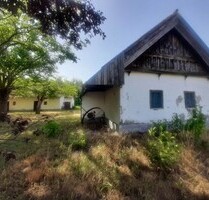 Im Csongrad 200m2 zwei Bauernhaus mit 20ha Land - Balástya