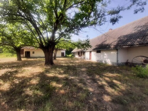 Bild 3 - 5 Zimmer Einfamilienhaus in Balástya