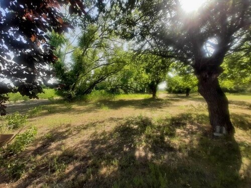 Bild 4 - Einfamilienhaus mit 200,00 m² in Balástya zum Kaufen