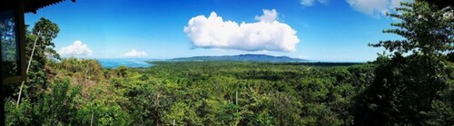 Bild 1 - 5 Hektar Naturparadies auf Morotai Nord-Molukken