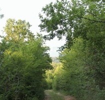 Baugrundstück ab 5000m2 Flachland Strand 4km - Gemeinde Ulcinj