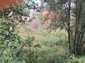 Bild 3 - 1 Zimmer Einfamilienhaus in Ulcinska Riviera