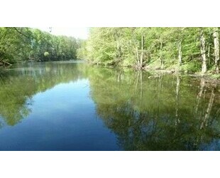 Haus 60m2 generalsaniert mit eigenem See - Colditz