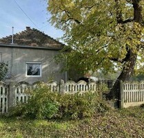 Im Komitat Zala ein 82m2 Haus mit 4000m2 Grund - Zalaszentgrót