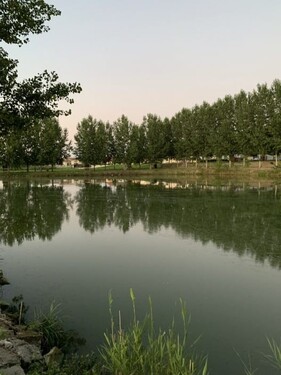 Bild 4 - Einfamilienhaus mit 205,00 m&sup2; in Császártöltés zum Kaufen