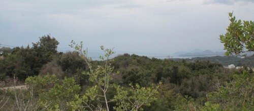 Bild 1 - Baugrund 600m2 am Meer Strand 1500m Meerblick