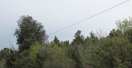 Bild 4 - Grundstück in Kreis Bar zum Kaufen