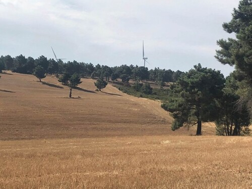 Bild 4 - Grundstück in Mayalde zum Kaufen