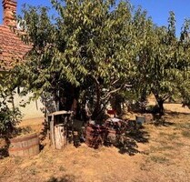 Im Komitat Zala ein kleines Bauernhaus und 4917m2 Grundstück - Türje