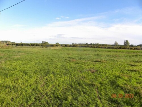 Bild 2 - 1 Zimmer Einfamilienhaus zum Kaufen in Üllés