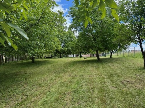 Bild 4 - Einfamilienhaus mit 200,00 m² in Zalakaros zum Kaufen