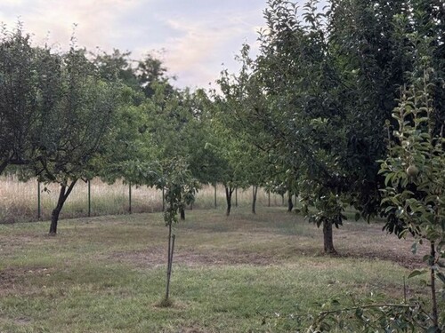 Bild 5 - 