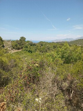 Bild 2 - Grundstück zum Kaufen in Kreis Bar MNE