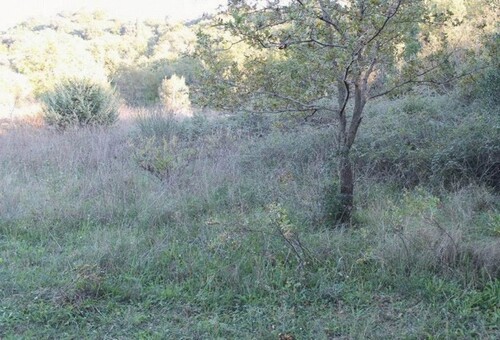 Bild 2 - Grundstück zum Kaufen in Bar-Vidikovac