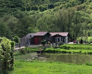 ALLEINLAGE *14.527qm -Wohnen*TierPferdehaltung*Gewerbe mögl - Beverungen