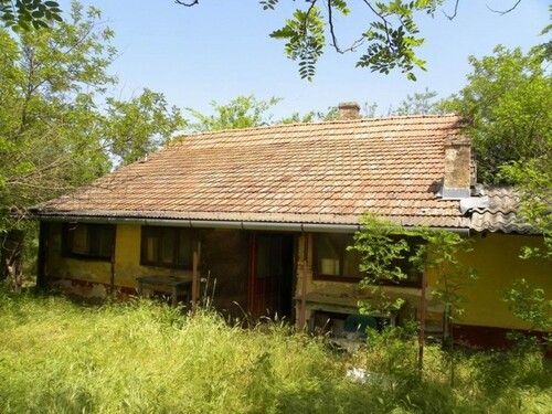 Bild 1 - Im Komitat Bacs-kiskun ein 80 m2 Bauernhaus mit 3529 Grund