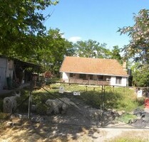 Im Csongrad Komitat ein 120m2 Bauernhaus mit 10ha Land - Csengele