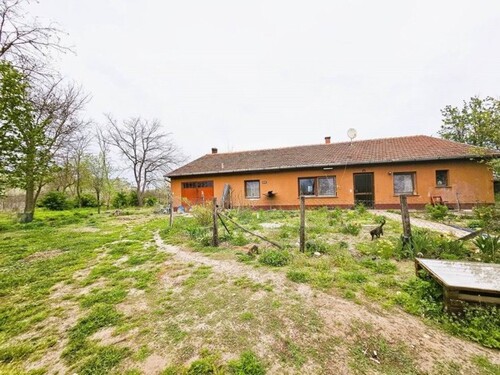 Bild 1 - Im Komitat Bacs-kiskun ein Bauernhaus 120m2