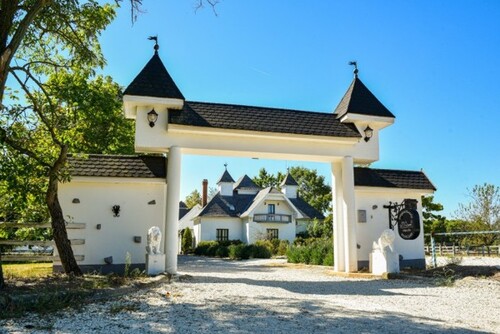 Bild 1 - Renoviertes Schloss im Komitat Bacs-kiskun