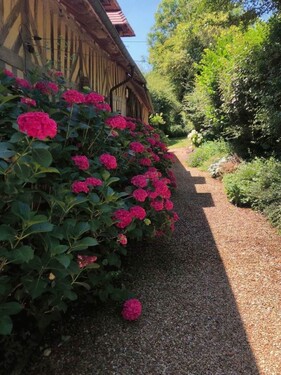 Bild 2 - 4 Zimmer Einfamilienhaus zum Kaufen in LE RENOUARD