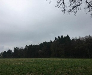 Waldgrundstück Ebersberg 18 ha - 1.250.000,00&nbsp;EUR Kaufpreis, ca.&nbsp; 180.000,00&nbsp;m&sup2; in Edling (PLZ: 83533)