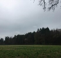 Waldgrundstück Ebersberg 18 ha - 1.800.000,00&nbsp;EUR Kaufpreis, ca.&nbsp; 180.000,00&nbsp;m&sup2; in Edling (PLZ: 83533)