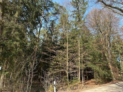 Bild 3 - Grundstück in Edling